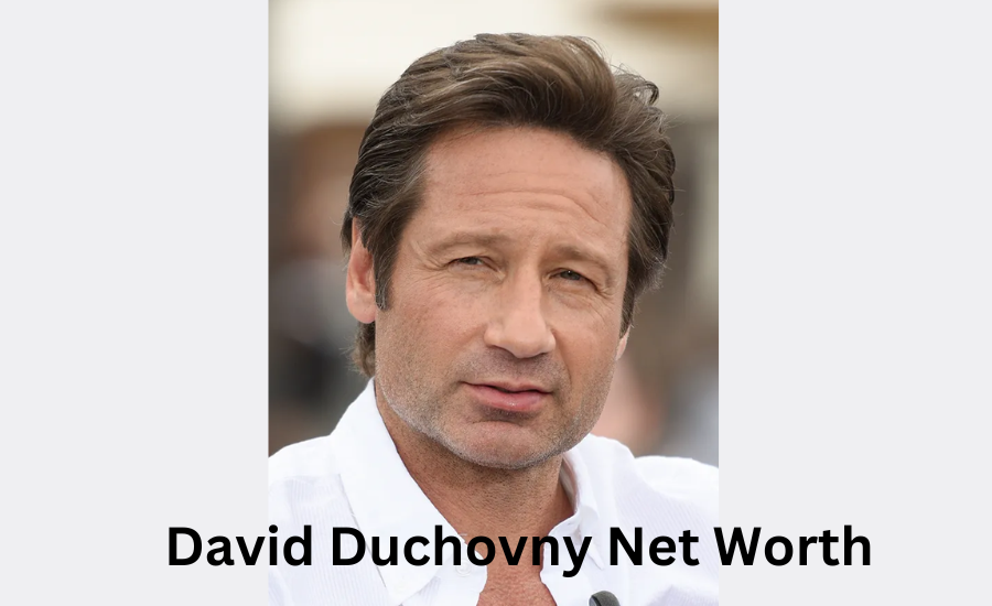 david duchovny net worth