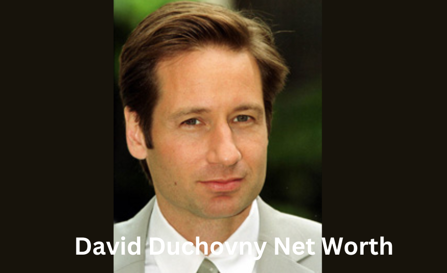 david duchovny net worth