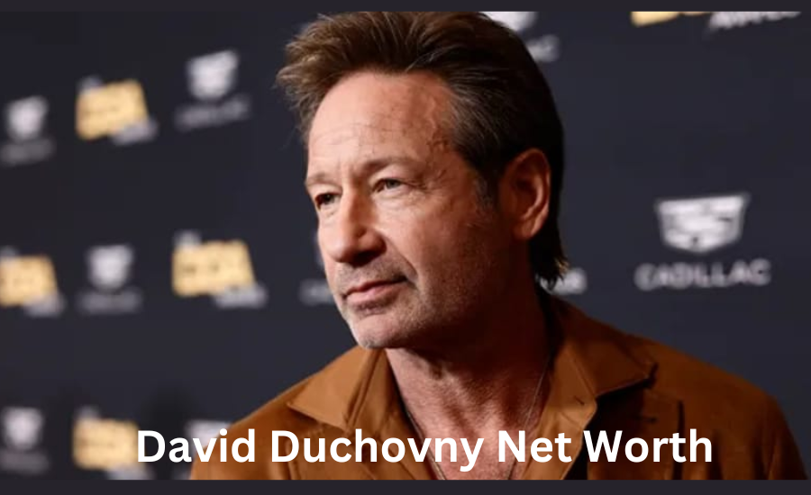 david duchovny net worth