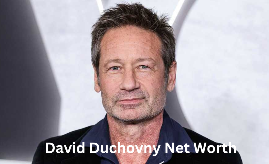 david duchovny net worth