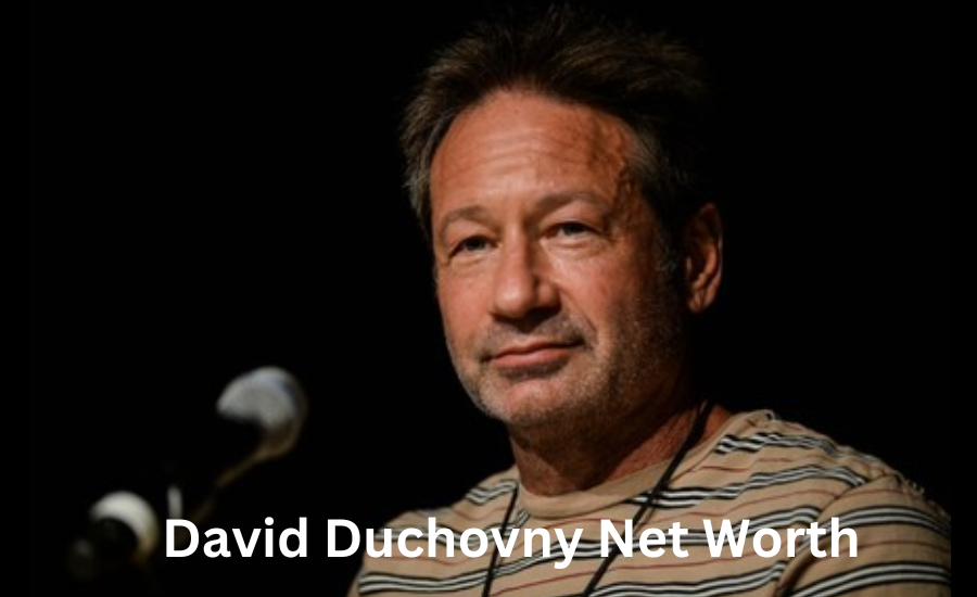 david duchovny net worth