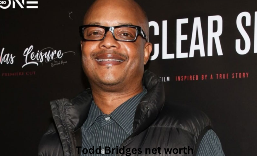 todd bridges net worth