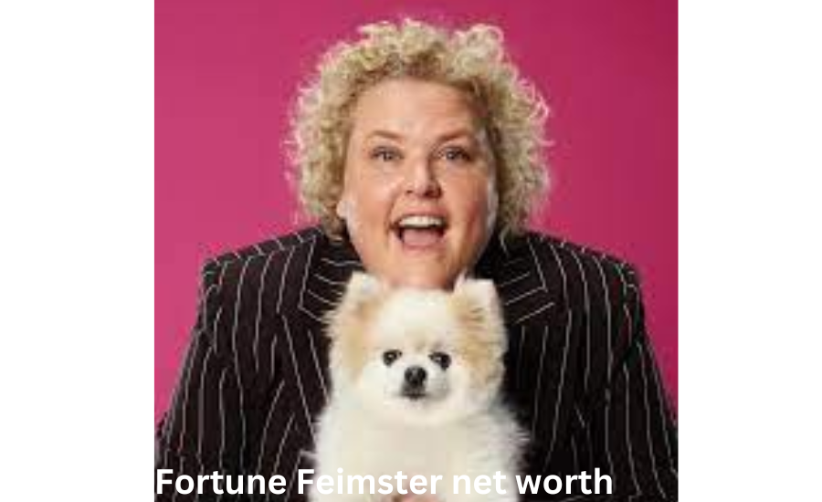 fortune feimster net worth